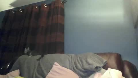 jilfyj online show from March 2026 12:49:02 AM