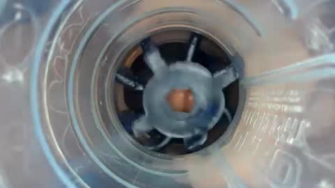 J online show from December 2024 08:26:02 PM