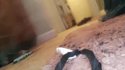 Jimmy online show from February 2025 01:57:01 AM