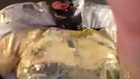 The sweetest toy online show from December 2024 11:10:02 PM