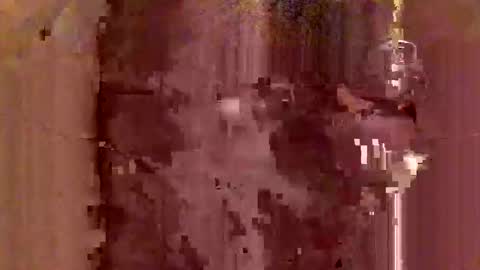 Snapshot of jodlsepp chatting on December 2024 11:47:01 PM jodlsepp online show from December 2024 11:47:01 PM