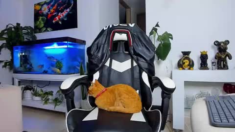 Snapshot of johnnygrayson_ chatting on September 2025 12:23:02 AM JOHNNY online show from September 2025 12:23:02 AM