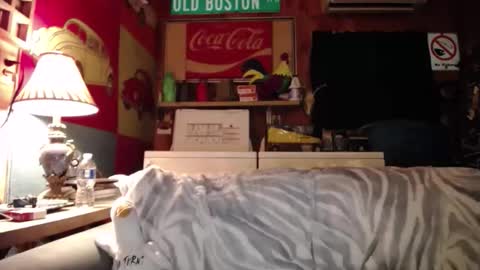 Johston online show from May 2026 01:44:02 AM