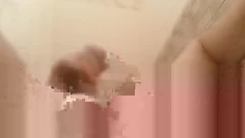 Snapshot of jonathanrossmyers858 chatting on December 2024 04:31:02 AM jonathanrossmyers858 online show from December 2024 04:31:02 AM