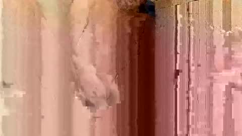 Snapshot of jonathanrossmyers858 chatting on January 2025 03:48:01 AM jonathanrossmyers858 online show from January 2025 03:48:01 AM