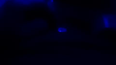 jonyoax2326 online show from January 2026 05:28:02 PM