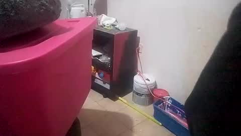 jose_longoria266 online show from January 2026 01:42:02 AM