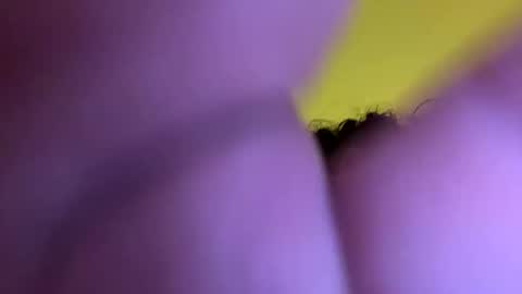 josevaldez47 online show from November 2025 10:18:01 AM