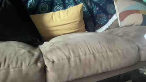 Snapshot of joshperrygoon chatting on December 2024 03:42:02 PM joshperrygoon online show from December 2024 03:42:02 PM