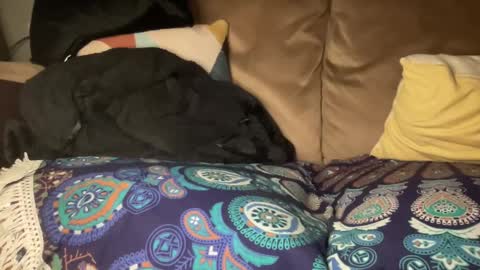 Snapshot of joshperrygoon chatting on December 2024 01:00:02 AM joshperrygoon online show from December 2024 01:00:02 AM