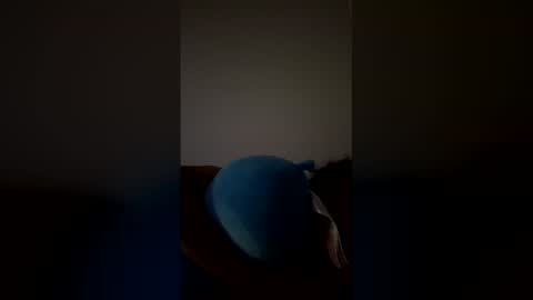 Snapshot of joshua_b11 chatting on March 2026 06:46:02 AM joshua_b11 online show from March 2026 06:46:02 AM