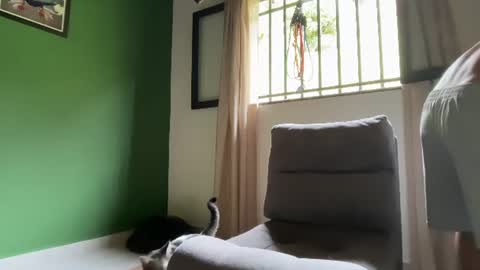 Im Jouliano online show from July 2026 03:05:01 PM