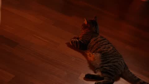 Jennifer Diaz online show from February 2025 11:15:02 PM