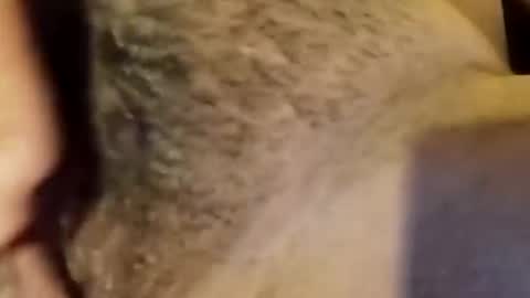 Snapshot of jsjsjdjsjjdx chatting on January 2026 03:53:02 AM jsjsjdjsjjdx online show from January 2026 03:53:02 AM