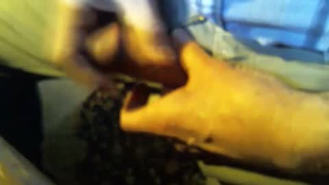 Snapshot of jt335577 chatting on January 2025 07:46:01 PM jt335577 online show from January 2025 07:46:01 PM