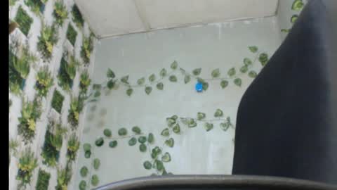 Mariagold online show from February 2025 01:19:01 AM