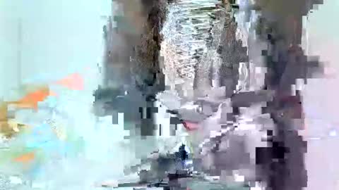 Snapshot of juicyebonitaa chatting on November 2025 06:45:01 AM juicyebonitaa online show from November 2025 06:45:01 AM