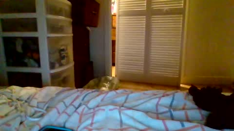 juicylatinabbw online show from May 2026 06:44:01 AM