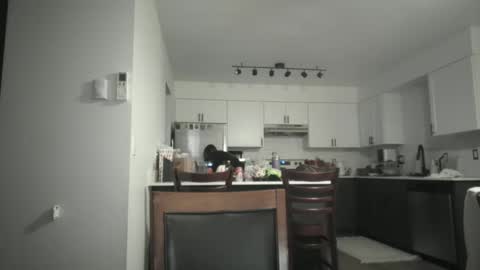 Sav online show from December 2025 05:05:01 AM