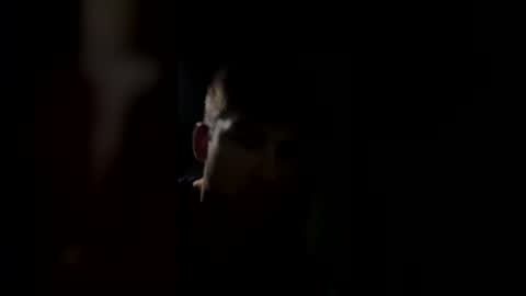 Snapshot of jul061007 chatting on March 2026 11:33:01 PM jul061007 online show from March 2026 11:33:01 PM