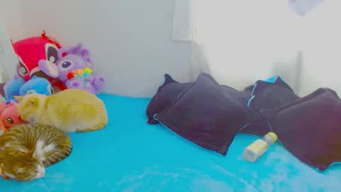  Juliana Torres  online show from January 2026 06:32:02 PM