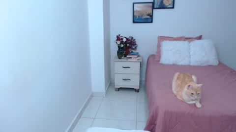 julia online show from April 2026 04:46:01 AM