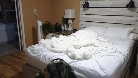 Texas Mamasita online show from February 2026 02:53:02 PM