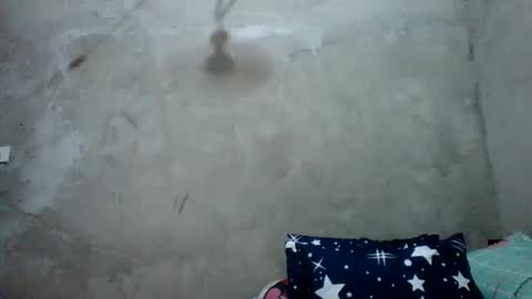 juliett online show from February 2026 06:57:02 AM