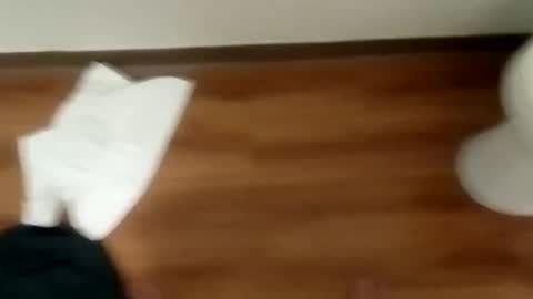 Snapshot of junior69king chatting on January 2025 12:06:02 PM manolito online show from January 2025 12:06:02 PM