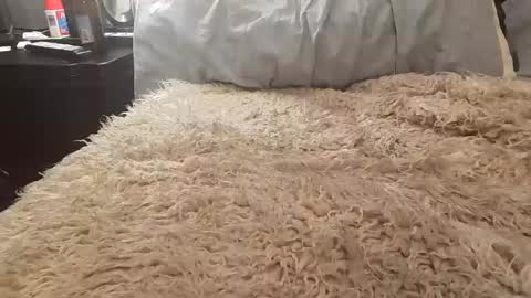 Snapshot of jusme6269 chatting on January 2025 01:00:02 AM Jusme6269 online show from January 2025 01:00:02 AM