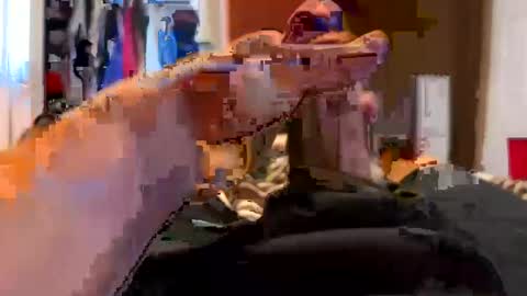 Snapshot of jussumwun chatting on January 2025 03:03:01 PM jussumwun online show from January 2025 03:03:01 PM