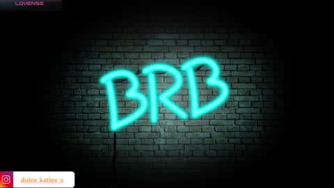 Snapshot of just_katiex chatting on January 2025 03:26:01 AM Sofia online show from January 2025 03:26:01 AM