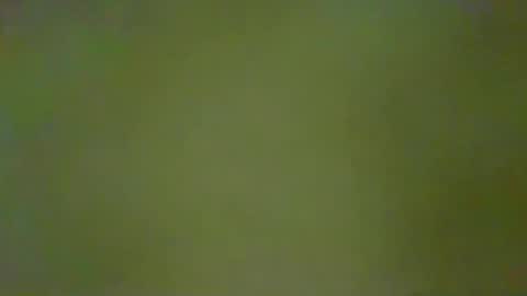 McKeefer online show from January 2026 05:28:02 PM