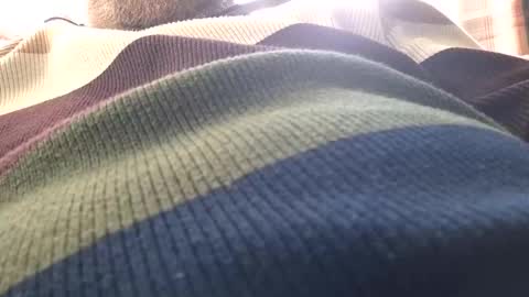 justenjoyingurcompany online show from February 2025 11:41:02 AM