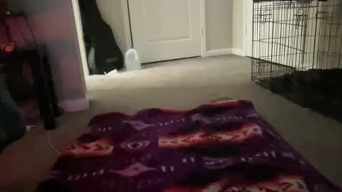 JustinCase online show from March 2026 10:42:02 AM