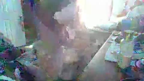 justintyme911128278 online show from March 2026 08:35:02 PM