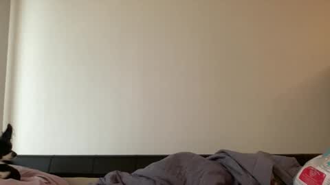 Jess online show from January 2025 10:07:02 PM