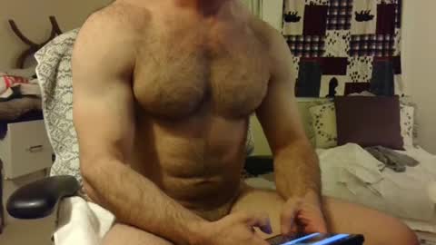 Wolf online show from February 2025 05:52:02 AM