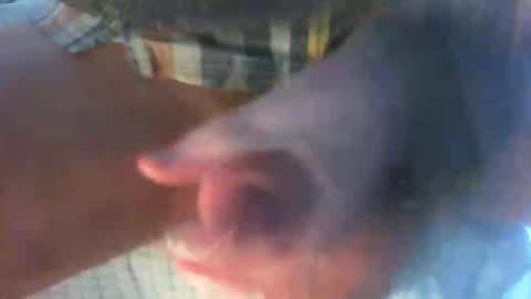 Snapshot of kamabo2 chatting on April 2026 05:35:01 PM kamabo2 online show from April 2026 05:35:01 PM