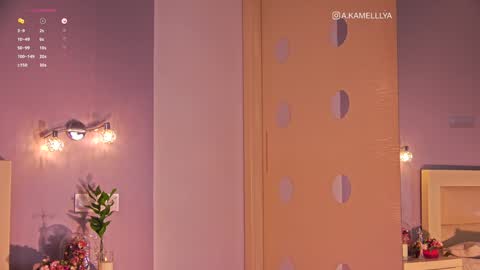 Snapshot of kamelllya chatting on January 2025 01:49:01 PM Kamelllya online show from January 2025 01:49:01 PM