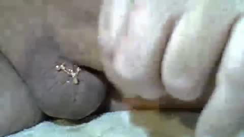 Kangarooh66 online show from November 2025 07:52:02 AM