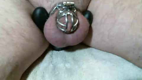 Snapshot of kansascam chatting on January 2026 02:44:01 PM KC Cam online show from January 2026 02:44:01 PM