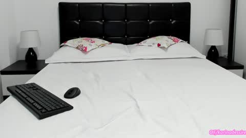 Snapshot of karina_sunshine chatting on December 2024 01:22:02 PM Karina online show from December 2024 01:22:02 PM