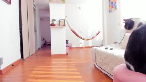 Karlye online show from January 2025 02:24:02 PM