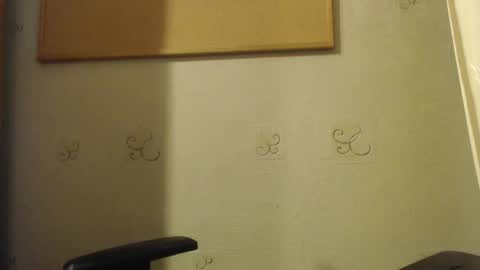 Snapshot of karolhorny96 chatting on December 2025 02:11:01 PM Karol online show from December 2025 02:11:01 PM