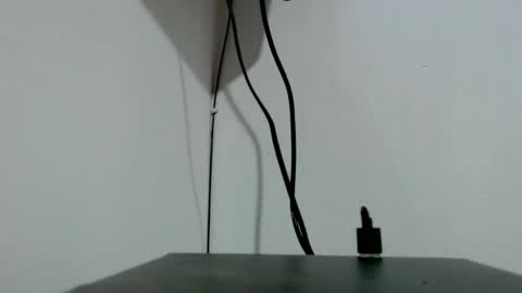 Tamires e Maicon online show from November 2025 02:02:02 AM