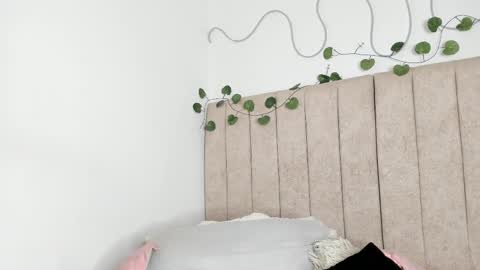           online show from January 2026 08:58:01 PM