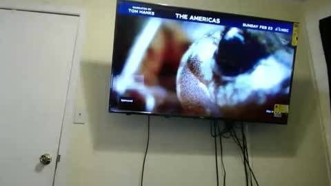 kashmoniy online show from February 2025 07:44:01 AM