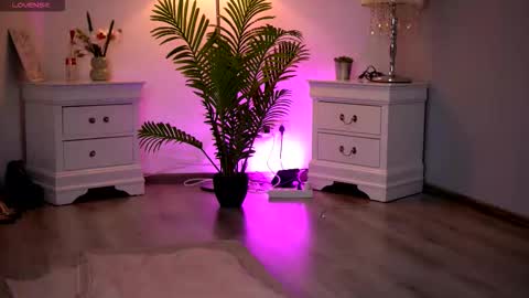 Snapshot of kassidyvibe chatting on February 2026 11:04:01 AM Kassidy online show from February 2026 11:04:01 AM