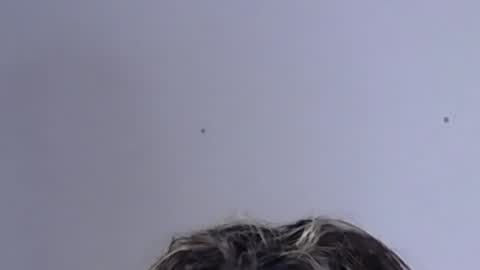 Help me with rate thanks  online show from February 2025 04:48:02 AM